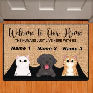 Felpudo personalizado con nombre de perro y gato, alfombras personalizadas, todas las colores, todos los logotipos, accesorio de decoración del hogar Bienvenido a nuestra casa,