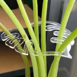Abrazadera de bambú de concha de tortuga, soporte de tallo de planta de plástico transparente reutilizable para plantas de interior y exterior para amantes de las flores