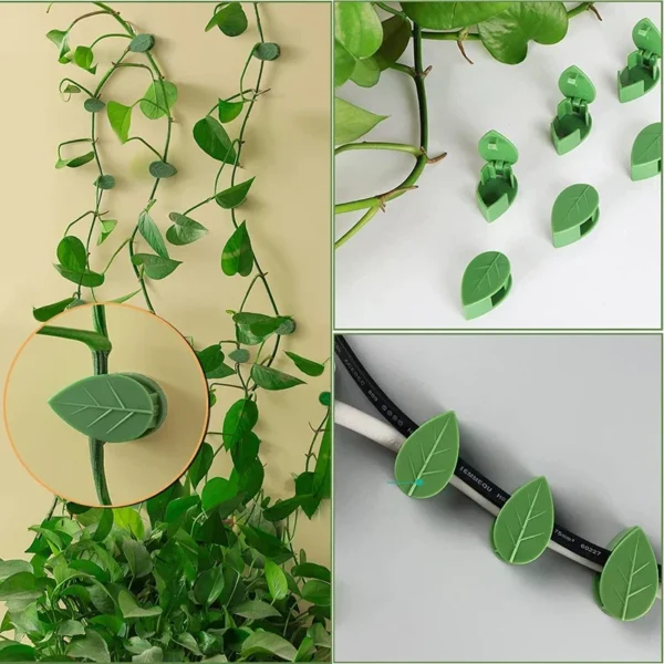 Clips de fijación de pared para plantas trepadoras, fijador de vid de ratán, gancho autoadhesivo, Clip Invisible para encuadernación de jardín, Clip adhesivo de pared, 10/30/50 Uds. - Imagen 4