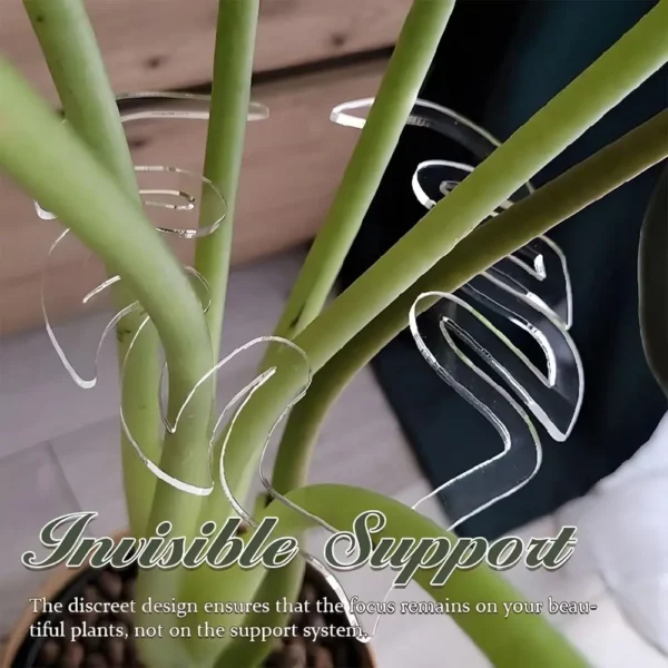 Abrazadera de bambú de concha de tortuga, soporte de tallo de planta de plástico transparente reutilizable para plantas de interior y exterior para amantes de las flores - Imagen 3