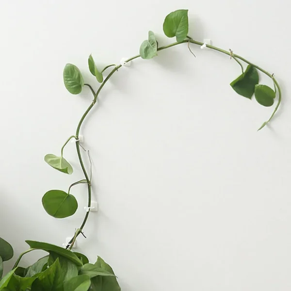 Clips de fijación para pared trepadora de plantas, Paquete de 10 Uds fijador de vid de ratán, gancho autoadhesivo, Clip Invisible para encuadernación de jardín, Clip adhesivo de pared - Imagen 2
