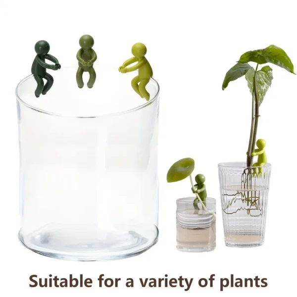 Soportes de soporte para brotes de plantas, maceta bonita de propagación, soporte fijo para plantas, accesorios de jardín, 3/6 Uds. - Imagen 2