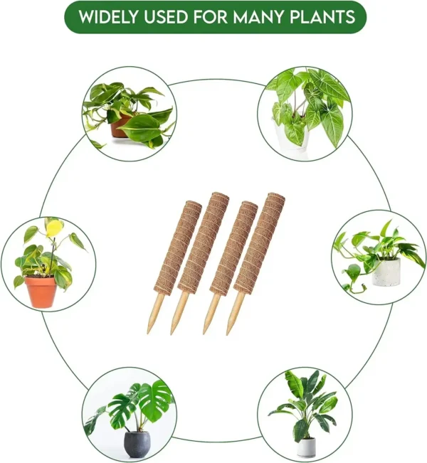 Poste de musgo hecho a mano extensible para plantas, varilla trepadora, poste de plantas para plantas trepadoras, palo de musgo hecho a mano Real F - Imagen 4