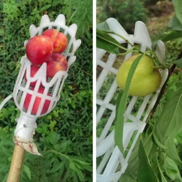 Herramientas manuales de jardín, recolector de frutas, herramienta de selección de frutas de plástico multicolor, receptor Agrarische Bayberry, palanca de selección de azufaifa - Imagen 6