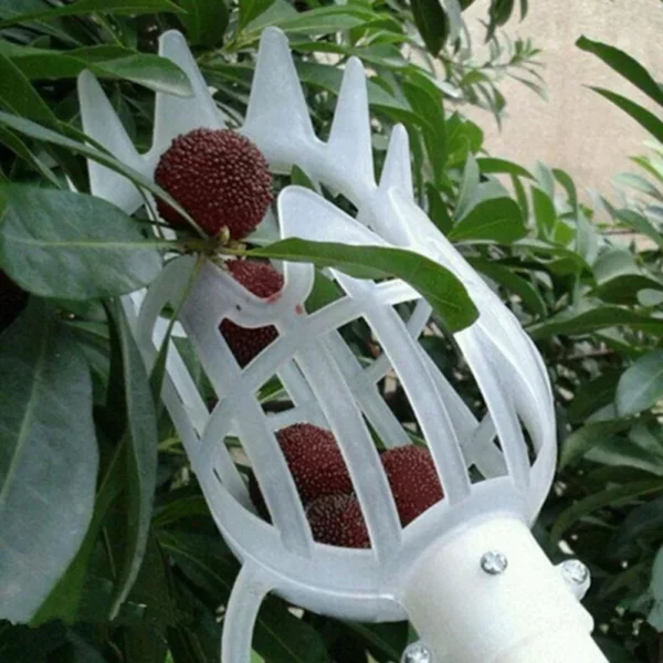 Herramientas manuales de jardín, recolector de frutas, herramienta de selección de frutas de plástico multicolor, receptor Agrarische Bayberry, palanca de selección de azufaifa - Imagen 4