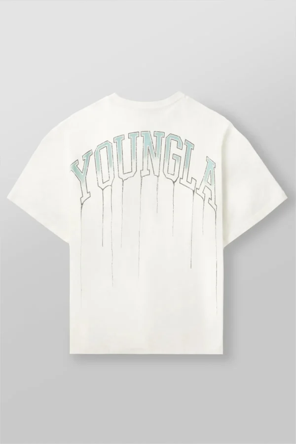 Camisetas para hombre, novedad de verano, deportes, ocio, algodón, cuello redondo, moda, ropa holgada y cómoda, camisetas para gimnasio y correr para hombre - Imagen 19