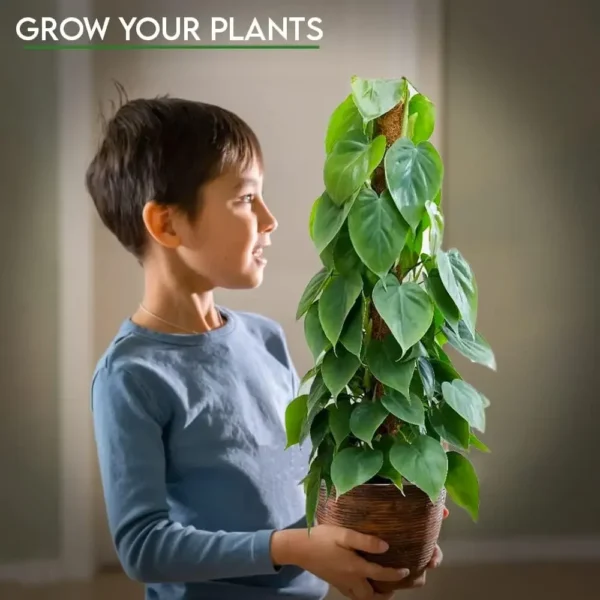 Poste de musgo hecho a mano extensible para plantas, varilla trepadora, poste de plantas para plantas trepadoras, palo de musgo hecho a mano Real F - Imagen 6