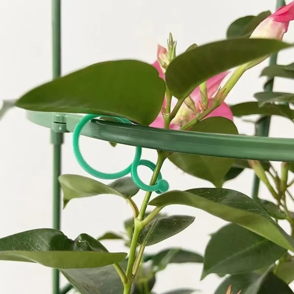 Clips de flejado de vid de plástico para jardín, anillo de hebilla incluido para plantas, gancho para jardín, tomate, Grapevina, herramientas de soporte para plantas 50/100 Uds. - Imagen 4
