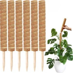 Poste de musgo hecho a mano extensible para plantas, varilla trepadora, poste de plantas para plantas trepadoras, palo de musgo hecho a mano Real F