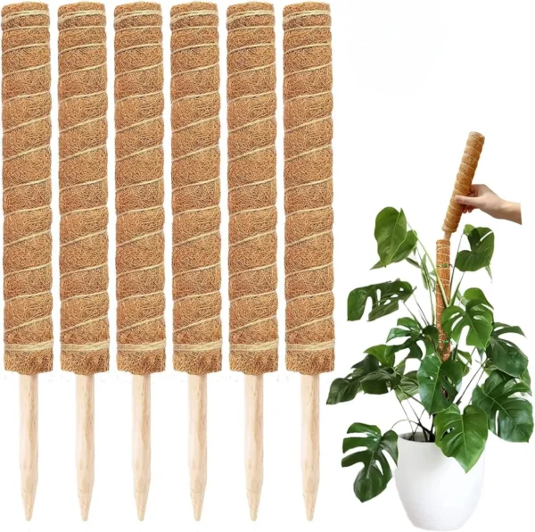 Poste de musgo hecho a mano extensible para plantas, varilla trepadora, poste de plantas para plantas trepadoras, palo de musgo hecho a mano Real F