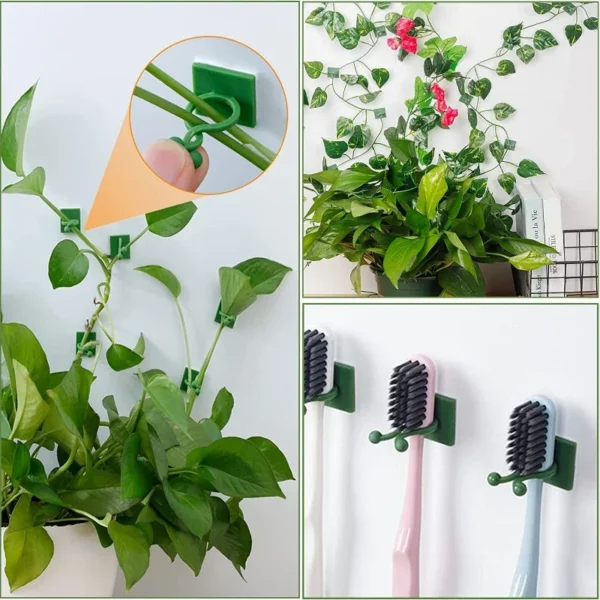 Clips de fijación de pared para plantas trepadoras, fijador de vid de ratán, gancho autoadhesivo, Clip Invisible para encuadernación de jardín, Clip adhesivo de pared, 10/30/50 Uds. - Imagen 3