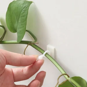 Clips de fijación para pared trepadora de plantas, Paquete de 10 Uds fijador de vid de ratán, gancho autoadhesivo, Clip Invisible para encuadernación de jardín, Clip adhesivo de pared