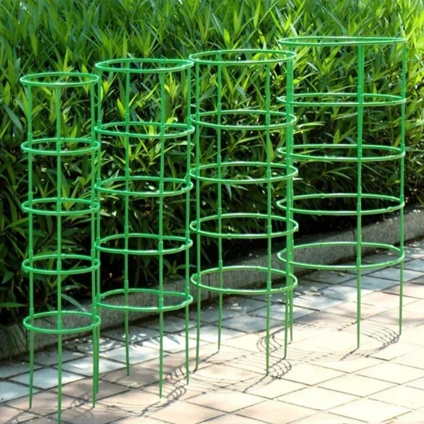 Juego de 12 soportes para plantas, estaca semicircular para enredaderas trepadoras, varilla de fijación para bonsái, soporte para estacas para plantas de jardín, soporte para anillos de flores - Imagen 4