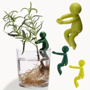 Soportes de soporte para brotes de plantas, maceta bonita de propagación, soporte fijo para plantas, accesorios de jardín, 3/6 Uds.