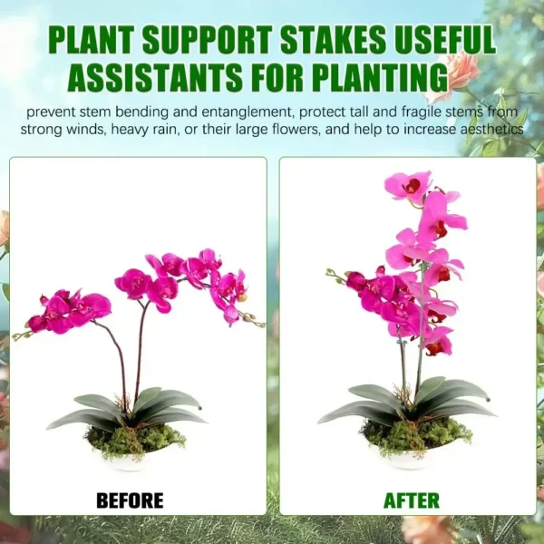 Soporte para plantas, 5/10 Uds., soporte para mariposas, orquídeas, flores, varillas de fijación en maceta, herramienta de fijación de protección vegetal reutilizable, jardinería Su - Imagen 2