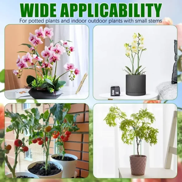 Soporte para plantas, 5/10 Uds., soporte para mariposas, orquídeas, flores, varillas de fijación en maceta, herramienta de fijación de protección vegetal reutilizable, jardinería Su - Imagen 6