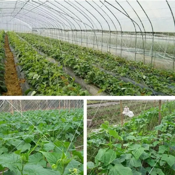 Red de escalada para jardín, red de enrejado, soporte para plantas de alta resistencia para flores, vegetales, vid, huerto, herramientas de jardinería - Imagen 4