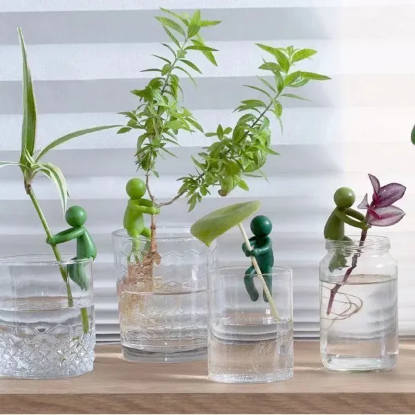Soportes de soporte para brotes de plantas, maceta bonita de propagación, soporte fijo para plantas, accesorios de jardín, 3/6 Uds. - Imagen 5