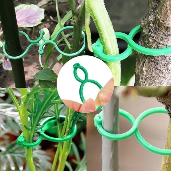 Clips de flejado de vid de plástico para jardín, anillo de hebilla incluido para plantas, gancho para jardín, tomate, Grapevina, herramientas de soporte para plantas 50/100 Uds. - Imagen 2