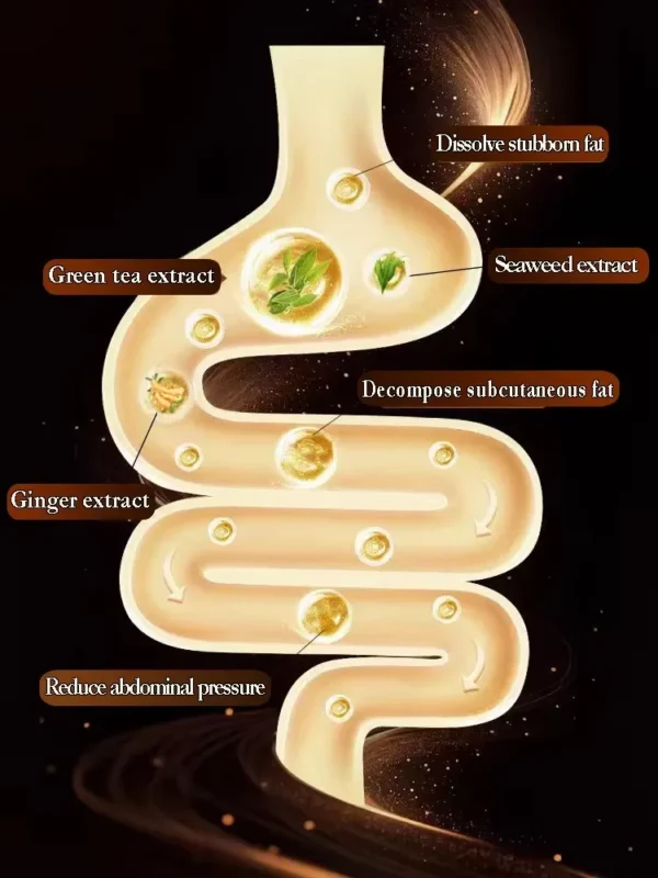 Crema esencial quemagrasas reafirmante y adelgazante abdominal - Imagen 4